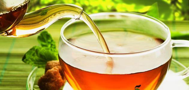 فعالية شاي دكتور نيوترشن لحرق الدهون
رشاقة ورجيم
صحتي