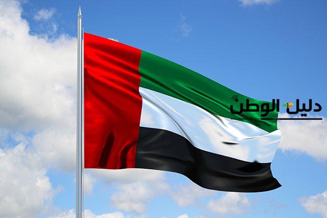 إنجاز تاريخي.. تجارة الإمارات الخارجية تصل إلى 5.23 تريليون درهم في 2024